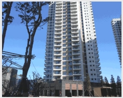  2025Ÿ��346  �ܵ�(ȣ��)���