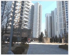  2025Ÿ��346  �ܵ�(ȣ��)���