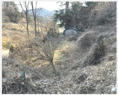  2025Ÿ��4102  �����