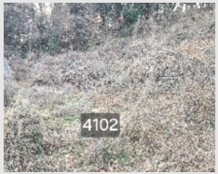  2025Ÿ��4102  �����