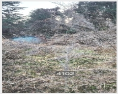  2025Ÿ��4102  �����