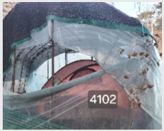  2025Ÿ��4102  �����