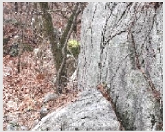  2025Ÿ��4461 �λ� ���屺 ������ ������ ��37-1      ����(�Ӿ�)���