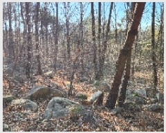  2025Ÿ��4461 �λ� ���屺 ������ ������ ��37-1      ����(�Ӿ�)���