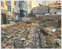  2025Ÿ��4963  �������