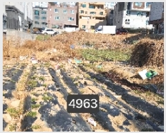  2025Ÿ��4963  �������