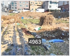  2025Ÿ��4963  �������