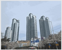  2025Ÿ��5052 �λ� �ؿ�뱸 �ߵ� 1818 �ؿ����������Ʈ���� Ƽ-203�� 7��704ȣ    ����Ʈ���