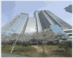  2025Ÿ��5052 �λ� �ؿ�뱸 �ߵ� 1818 �ؿ����������Ʈ���� Ƽ-203�� 7��704ȣ    ����Ʈ���