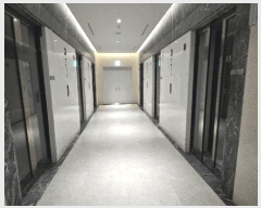  2025Ÿ��478  �ܵ�(ȣ��)���