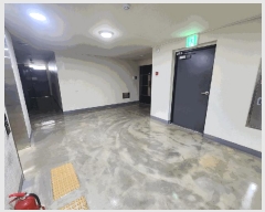  2025Ÿ��547  ����Ʈ���