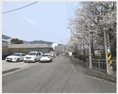  2025Ÿ5131 λ 屺  ޻긮 141-3 лƮ 101 5505ȣ   Ʈ