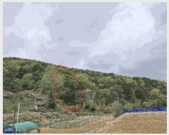  2025Ÿ��5153 �λ� ���屺 �ϱ��� ��õ�� ��55-3      ����(�Ӿ�)���