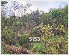  2025Ÿ��5153 �λ� ���屺 �ϱ��� ��õ�� ��55-3      ����(�Ӿ�)���