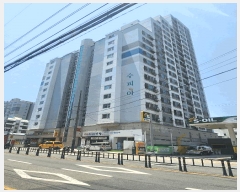  2025Ÿ��5310  ����Ʈ���