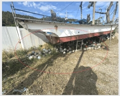  2025Ÿ��5422 �λ� ���屺 �ϱ��� ��õ�� 176-1      ����(��)���