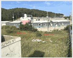  2025Ÿ��5422 �λ� ���屺 �ϱ��� ��õ�� 176-1      ����(��)���