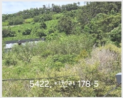  2025Ÿ��5422 �λ� ���屺 �ϱ��� ��õ�� 176-1      ����(��)���