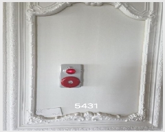  2025Ÿ��5431  �ٸ��󰡰��