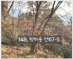  2025Ÿ148 λ  ̵ 67-8       (Ӿ)