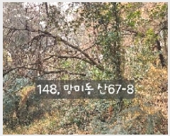  2025Ÿ148 λ  ̵ 67-8       (Ӿ)