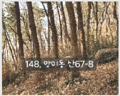  2025Ÿ148 λ  ̵ 67-8       (Ӿ)