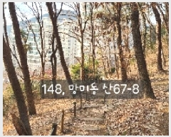  2025Ÿ148 λ  ̵ 67-8       (Ӿ)