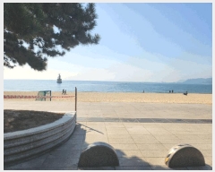  2025Ÿ��388 �λ� �ؿ�뱸 �ߵ� 1124-2 �ȷ������ 9��102-903ȣ     �ܵ�(ȣ��)���