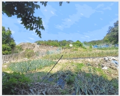  2025Ÿ��564 �λ� ���屺 ������ �뺯�� 162      ����(��)���