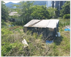  2025Ÿ��564 �λ� ���屺 ������ �뺯�� 162      ����(��)���