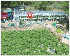  2025Ÿ��564 �λ� ���屺 ������ �뺯�� 162      ����(��)���