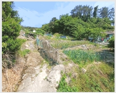  2025Ÿ��564 �λ� ���屺 ������ �뺯�� 162      ����(��)���