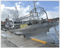  2025Ÿ��861 ��� ������ ������        ���ڰ��