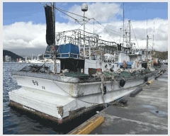  2025Ÿ��861 ��� ������ ������        ���ڰ��