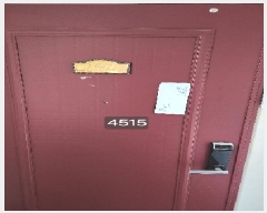  2025Ÿ��4515  ���ǽ��ڰ��