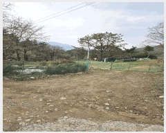  2025Ÿ��4998 �λ� ���屺 ������ �θ��� ��95-9      ����(�Ӿ�)���