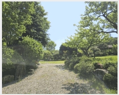  2025Ÿ��4998 �λ� ���屺 ������ �θ��� ��95-9      ����(�Ӿ�)���