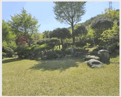  2025Ÿ��4998  �Ӿ߰��