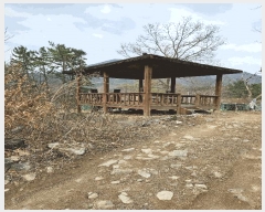  2025Ÿ��4998  �Ӿ߰��