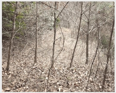  2025Ÿ��5027  �Ӿ߰��