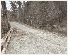  2025Ÿ��5027  �Ӿ߰��