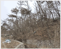  2025Ÿ��5027  �Ӿ߰��