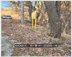  2025Ÿ��5027  �Ӿ߰��