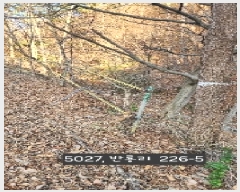  2025Ÿ��5027  �Ӿ߰��