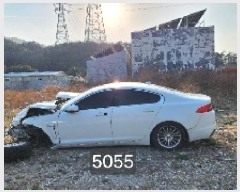  2025Ÿ��5055 �λ� ���屺 ����� �ݷ渮 832-5      ����(����)���