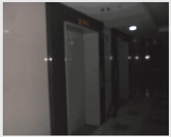  2025Ÿ��5178  ���ǽ��ڰ��