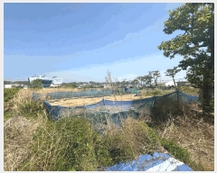  2025Ÿ��5293 �λ� ���屺 �ϱ��� ĥ�ϸ� 182-5      ����(��)���