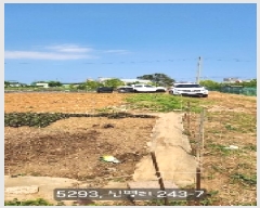  2025Ÿ��5293 �λ� ���屺 �ϱ��� ĥ�ϸ� 182-5      ����(��)���