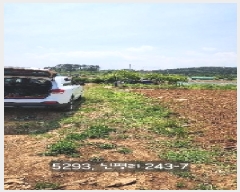  2025Ÿ��5293 �λ� ���屺 �ϱ��� ĥ�ϸ� 182-5      ����(��)���