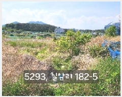  2025Ÿ��5293 �λ� ���屺 �ϱ��� ĥ�ϸ� 182-5      ����(��)���